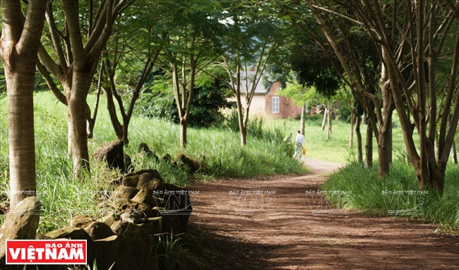 Khám phá khung cảnh thôn quê châu Âu ở Lâm Đồng ảnh 4