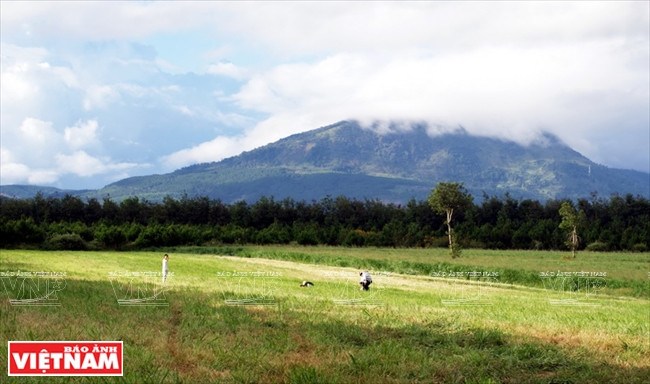Khám phá khung cảnh thôn quê châu Âu ở Lâm Đồng ảnh 6