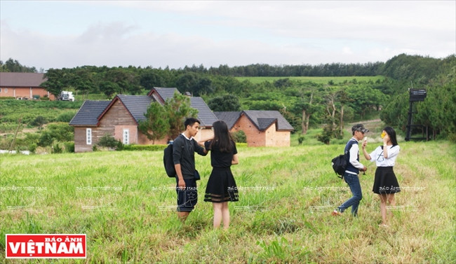 Khám phá khung cảnh thôn quê châu Âu ở Lâm Đồng ảnh 10