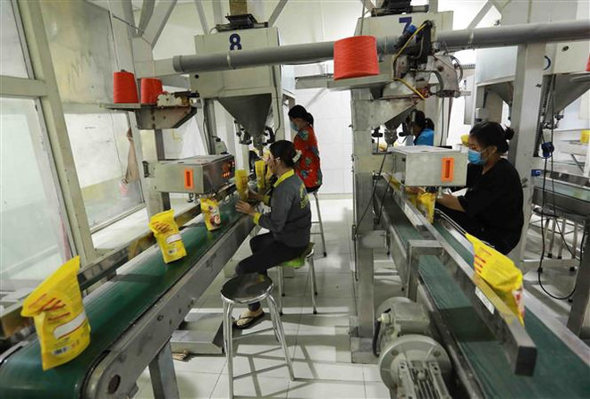 Thị trường nông sản tuần qua: Xuất khẩu gạo của Việt Nam giảm ảnh 1