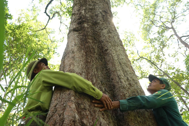 ttxvn-bao ve rung4.jpg