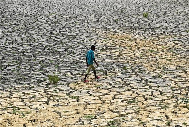 Lòng sông khô cạn do các đợt nắng nóng và hạn hán kéo dài tại New Delhi, Ấn Độ2. (Ảnh: AFP/TTXVN) Đại sứ Việt Nam tại LHQ cùng chủ trì kỷ niệm Ngày Quốc tế Mẹ Trái Đất ảnh 1