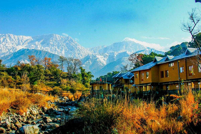 Cảnh sắc Dharamshala. Nương theo dấu chân Phật ghé thăm Nepal, Ấn Độ, Bhutan, Tây Tạng ảnh 7