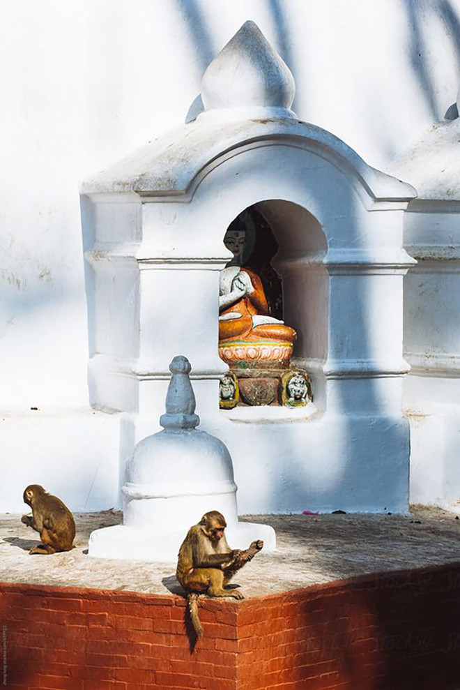 Swayambhunath (Đền Khỉ). Nương theo dấu chân Phật ghé thăm Nepal, Ấn Độ, Bhutan, Tây Tạng ảnh 4