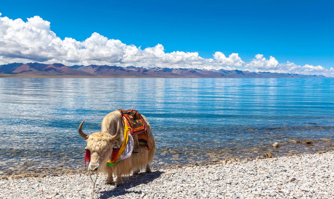 Hồ thiêng Namtso. Nương theo dấu chân Phật ghé thăm Nepal, Ấn Độ, Bhutan, Tây Tạng ảnh 14