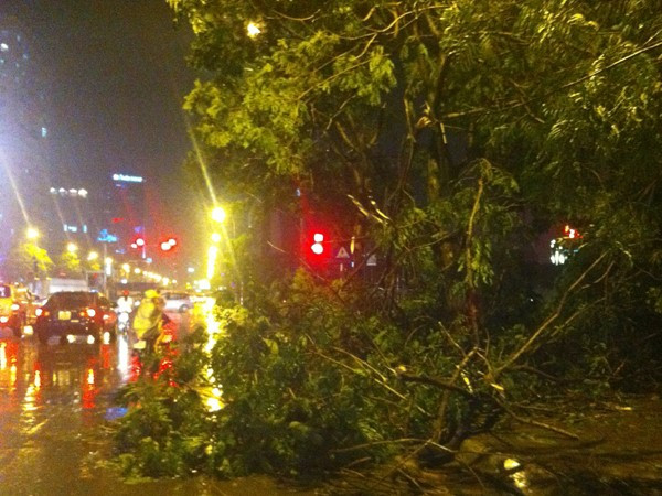Hà Nội: Cây đổ la liệt, một người tử vong sau cơn mưa lớn ảnh 4