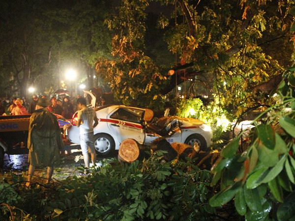 Hà Nội: Cây đổ la liệt, một người tử vong sau cơn mưa lớn ảnh 1