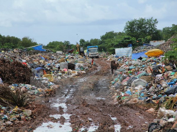 Thanh tra nêu rõ những sai phạm của công ty xử lý chất thải rắn VWS ảnh 1