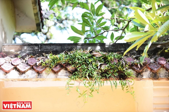 Túy Vân - một trong những thắng cảnh bậc nhất của xứ Thần Kinh ảnh 13