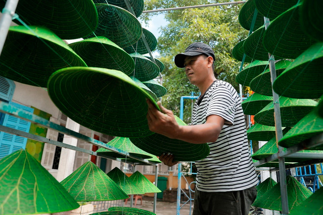 Với một lớp sơn bóng bảo vệ, sau khi phơi dưới nắng lần cuối, chiếc nón lá sen đã hoàn thành. (Ảnh: Minh Quyết/TTXVN) ttxvn-non la sen (1).jpg