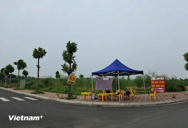 Tình hình thực tế trong ngày 13/8/2024 tại khu vực đất được đấu giá ở thôn Thanh Thần, xã Thanh Cao, huyện Thanh Oai, thành phố Hà Nội. (Ảnh: Hùng Võ/Vietnam+) dat2.jpg