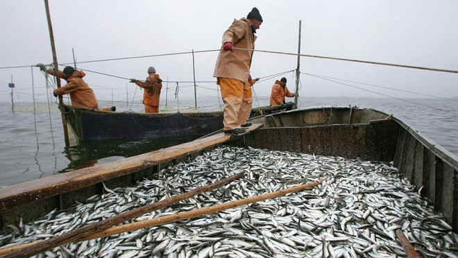 Xuất hiện nhân tố làm chao đảo mối quan hệ Nga-Trung Quốc ảnh 2