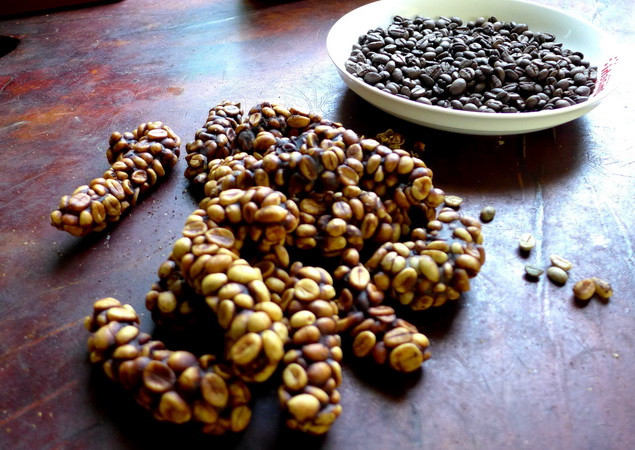 Mô hình sản xuất càphê chồn độc đáo của một thanh niên ở Bình Phước ảnh 2