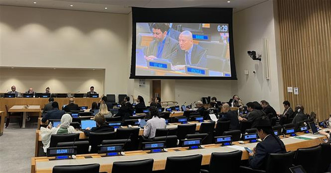 Việt Nam kêu gọi giải pháp toàn diện, đột phá về phát triển bền vững ảnh 1