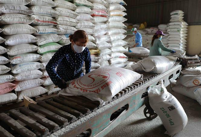 Tiền Giang quan tâm quy hoạch vùng sản xuất để nâng chất lượng gạo ảnh 1