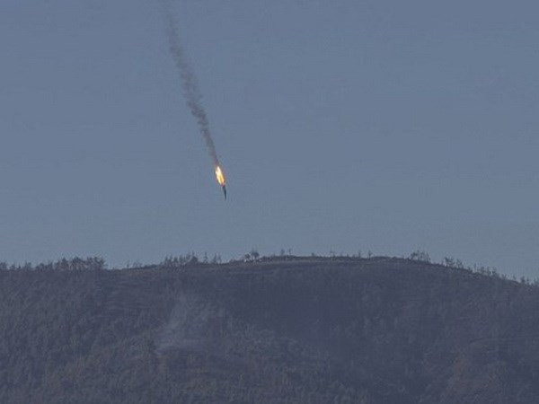 Đức lo ngại tác động của vụ Thổ Nhĩ Kỳ bắn hạ máy bay Nga ảnh 1