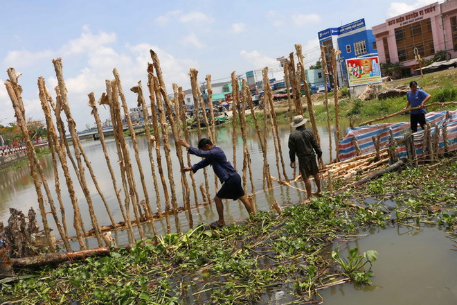 Nhờ có mưa lớn, nồng độ mặn tại tỉnh Hậu Giang giảm đáng kể ảnh 1