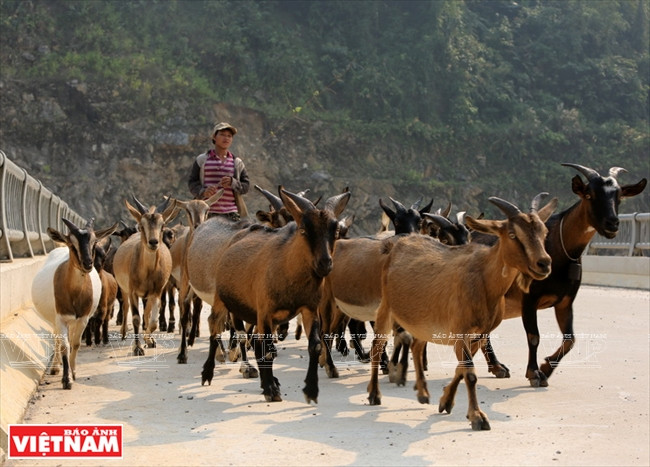 Hồi sinh những tộc người “lá vàng” nơi biên cương của Tổ quốc ảnh 10
