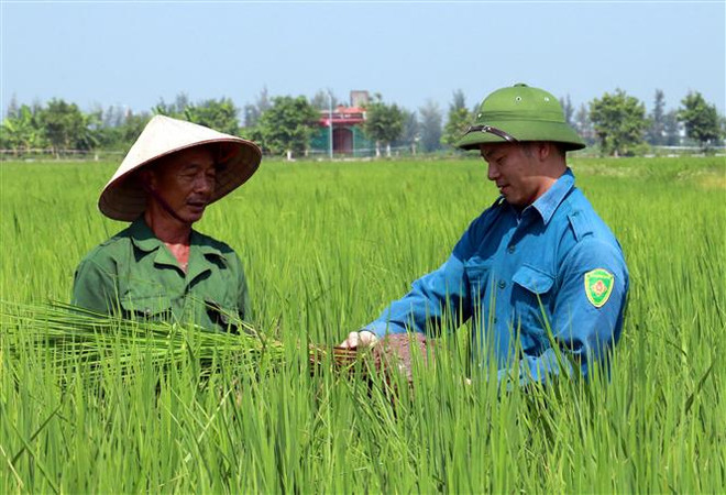 (Ảnh: Nguyễn Lành/TTXVN) Một số chính sách mới nổi bật sẽ có hiệu lực trong tháng 2 ảnh 2