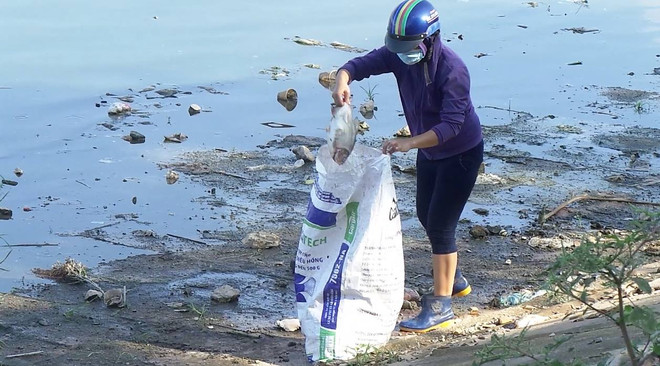 Vụ cá chết hồ Linh Đàm: Đã lấy mẫu nước, vật phẩm để làm xét nghiệm ảnh 1