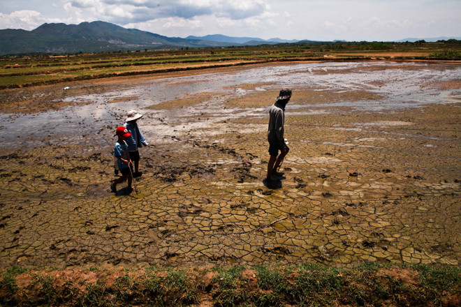 Hiện tượng El Nino duy trì cường độ mạnh trong mùa Đông-Xuân ảnh 1