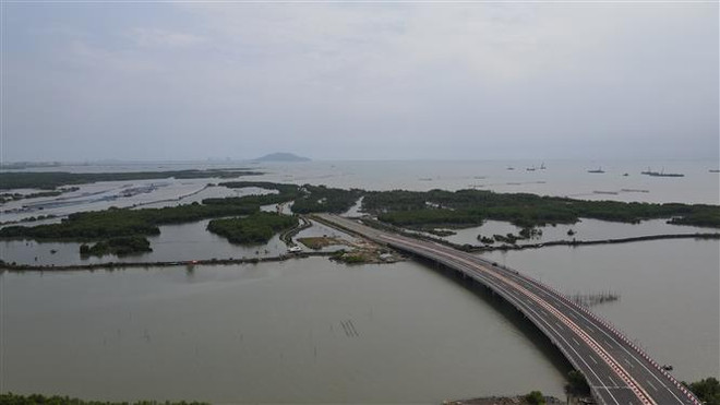 Bà Rịa-Vũng Tàu phối hợp tăng tốc các dự án trọng điểm ảnh 1