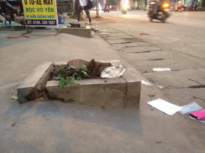 Hà Nội: Cây xanh lại bị “trảm” trong chiến dịch dẹp vỉa hè ảnh 2