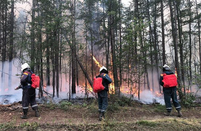 Lực lượng cứu hỏa nỗ lực dập lửa cháy rừng tại Yakutsk, Nga. (Ảnh: AFP/TTXVN) Cháy rừng nghiêm trọng tại Nga lan rộng đến vùng miền Trung ảnh 1