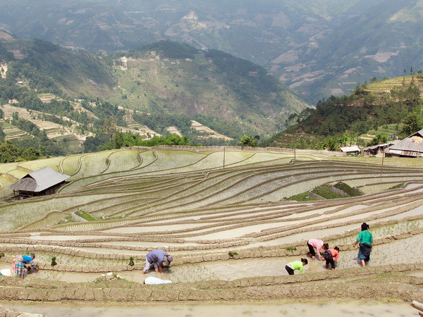 Thủ tướng phê duyệt danh mục dự án tài trợ 34 triệu USD cho Hà Giang ảnh 1