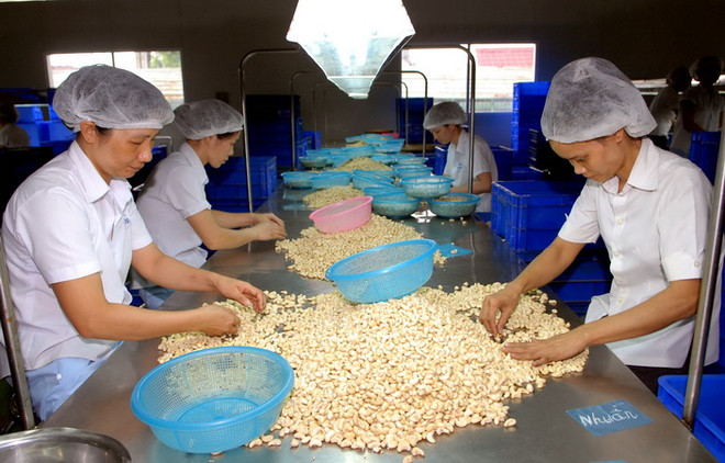 Hỗ trợ doanh nghiệp tận dụng cơ hội xuất khẩu sang Hoa Kỳ ảnh 1