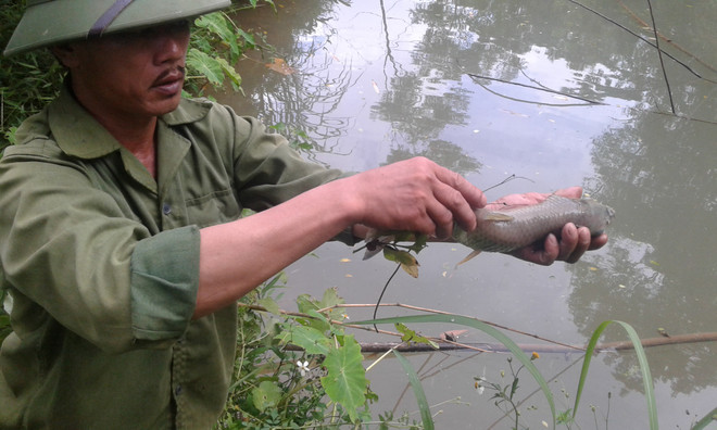 [Photo] Tôm cá chết bất thường đầu nguồn con suối đổ vào sông Đà ảnh 7