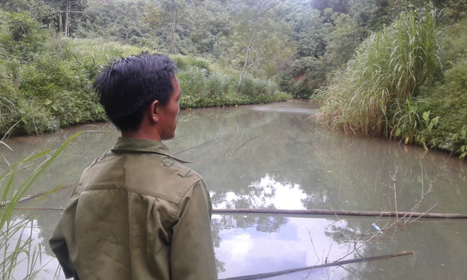 [Photo] Tôm cá chết bất thường đầu nguồn con suối đổ vào sông Đà ảnh 10