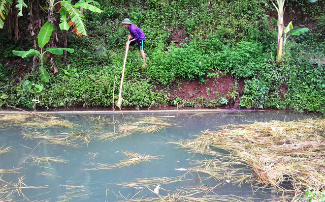 [Photo] Tôm cá chết bất thường đầu nguồn con suối đổ vào sông Đà ảnh 1
