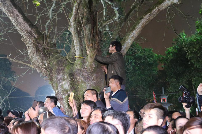 Hàng nghìn người trèo tường, vượt rào vào cúng sau lễ Khai ấn Đền Trần ảnh 11