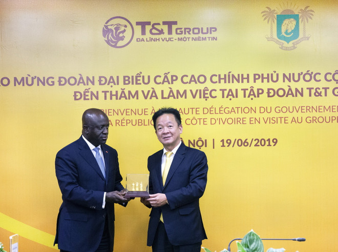 T&T Group thu mua toàn bộ sản lượng điều thô của Cote d'Ivoire ảnh 2