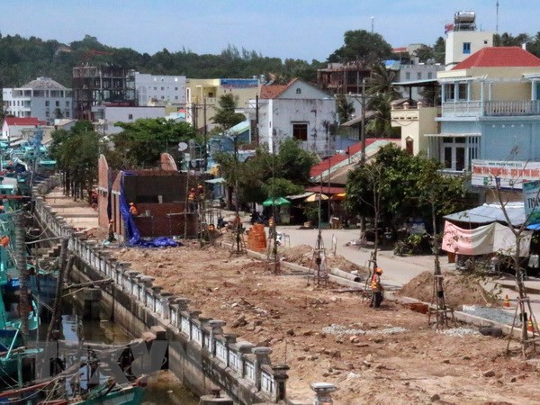 Hà Nội chuyển dịch cơ cấu kinh tế nông thôn gắn với đô thị hiện đại ảnh 1