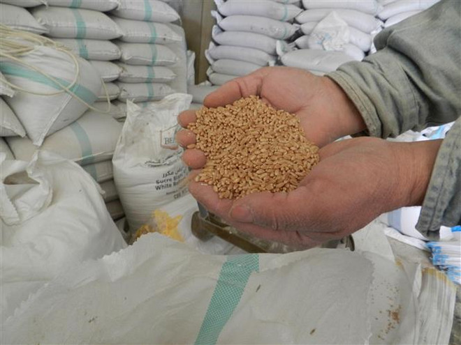 Một nhà kho lúa mỳ. (Ảnh: THX/TTXVN) Căng thẳng Nga-Ukraine có thể tái định hình trật tự kinh tế toàn cầu ảnh 1