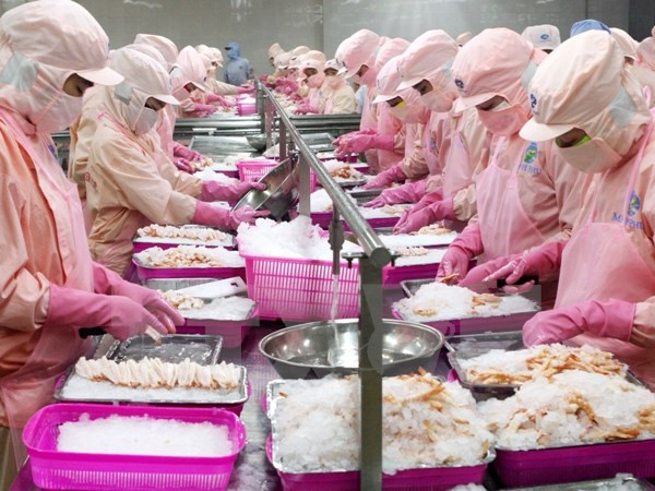 Sự phát triển vượt bậc của các tỉnh thành phía Nam sau 40 năm ảnh 1