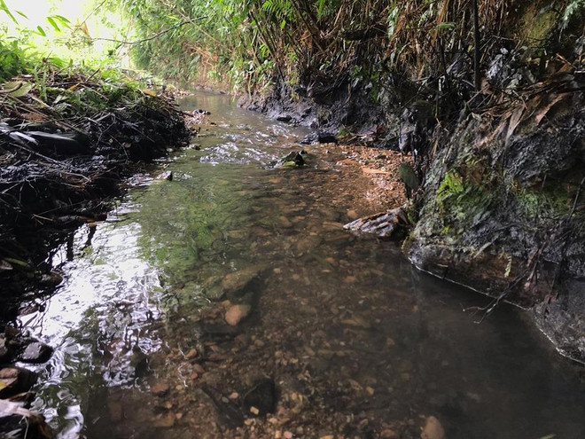 Dầu thải bị đổ trộm xuống đầu nguồn nước sạch Sông Đà như thế nào? ảnh 8