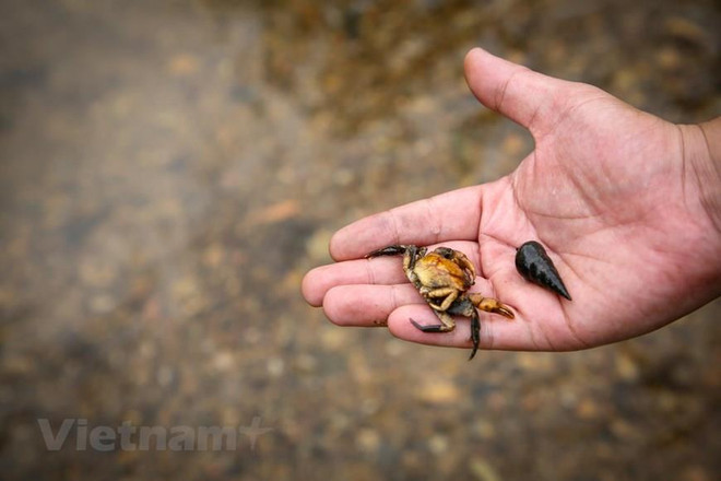 Dầu thải bị đổ trộm xuống đầu nguồn nước sạch Sông Đà như thế nào? ảnh 7