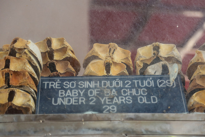 'Máu vẫn chưa ngưng loang trong lòng người Ba Chúc' ảnh 9