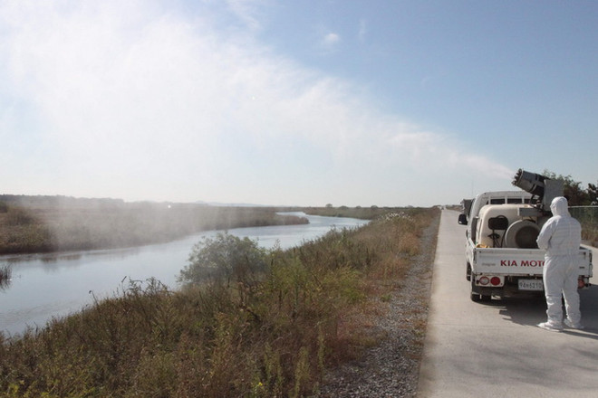 Phát hiện chủng virus cúm gia cầm nguy hiểm trong phân chim rừng ảnh 1