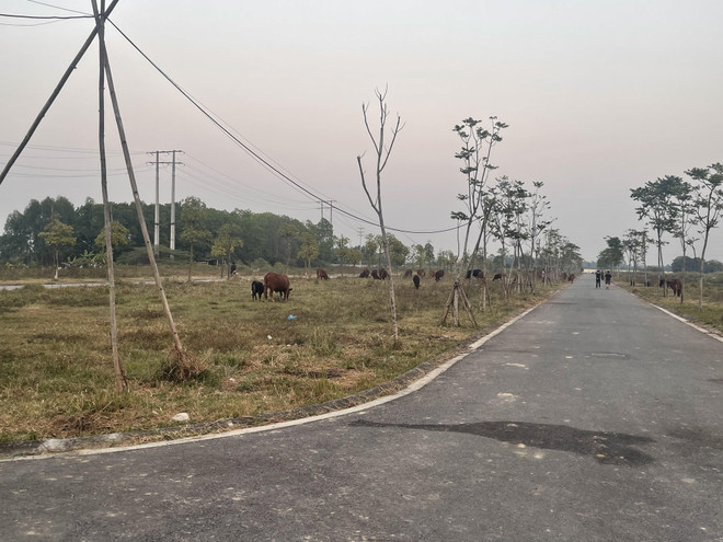 Giải mã các dự án "treo" tại Hà Nội: Biết sai vẫn khó xử lý ảnh 2