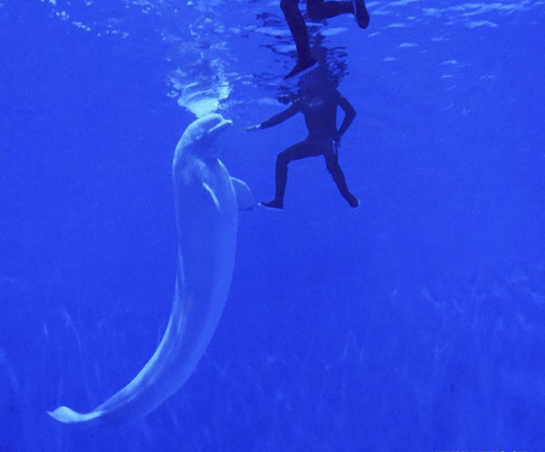 Sắp khai trương công viên thủy cung cao nhất thế giới tại Trung Quốc ảnh 1