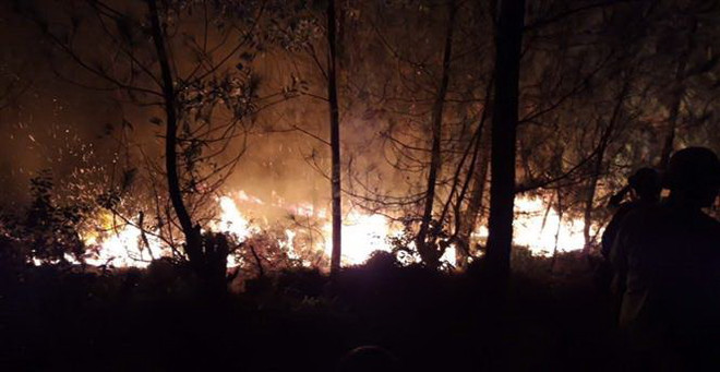 Tình trạng cháy rừng vào mùa khô - Đừng để “đến hẹn lại lên” ảnh 1