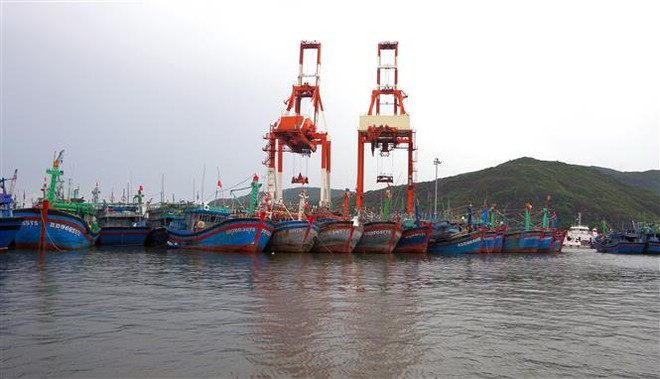 Thực hiện nghiêm công điện của Thủ tướng về ứng phó với bão, mưa lũ ảnh 1