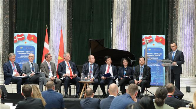 Việt Nam-Đan Mạch đẩy mạnh hợp tác chuyển đổi xanh, chuyển đổi số ảnh 1