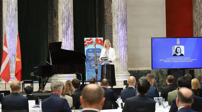 Việt Nam-Đan Mạch đẩy mạnh hợp tác chuyển đổi xanh, chuyển đổi số ảnh 2