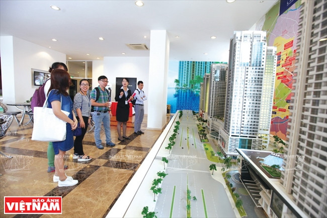 Tập trung nguồn lực tạo diện mạo mới cho “Hòn ngọc Viễn Đông” ảnh 9