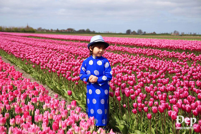 Vào mùa hoa tulip khoe sắc nở rộ, Hà Lan đẹp như tranh vẽ ảnh 15